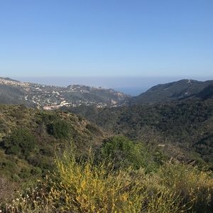 Meet your Posher, Bridget